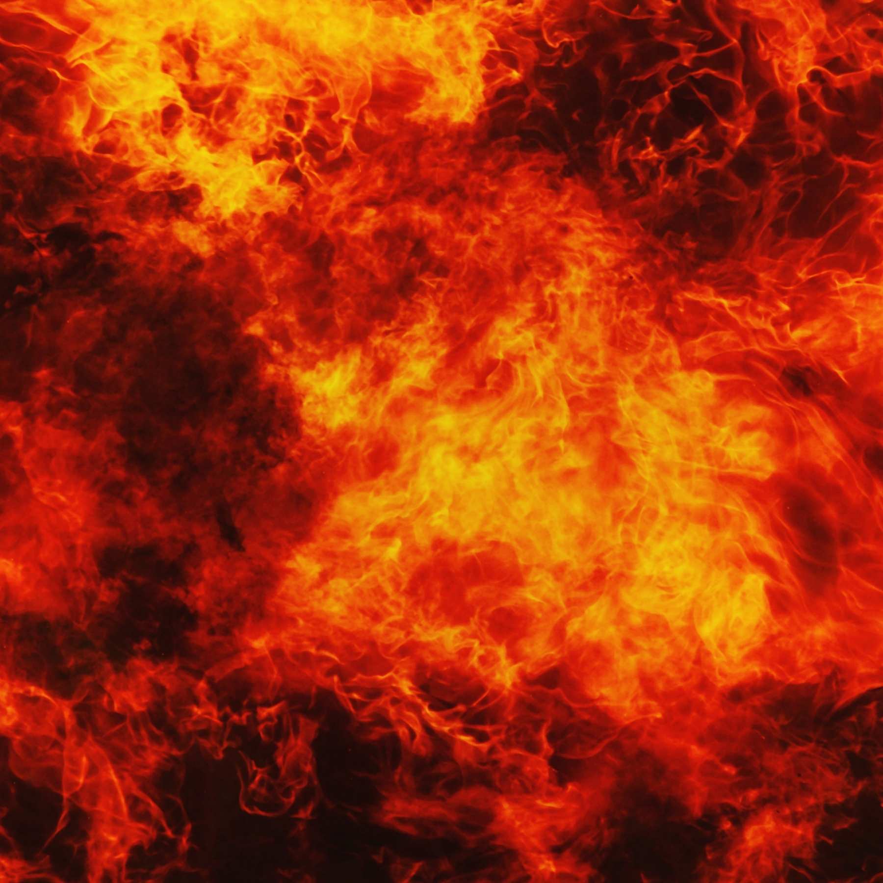 Untitled design.jpg (9)